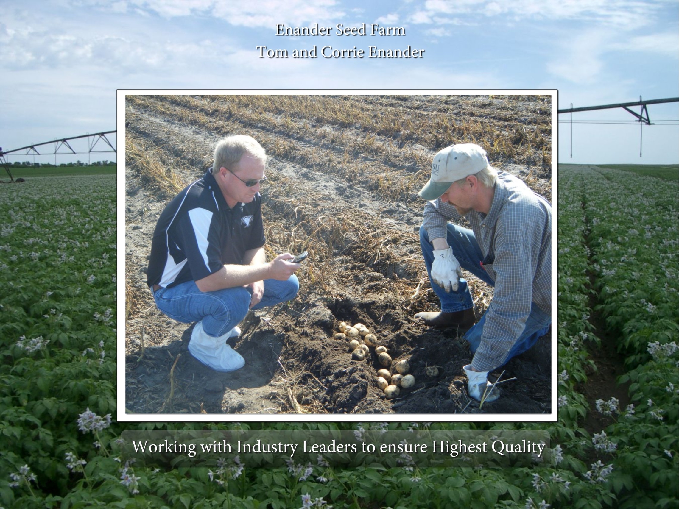 Enander Seed Farm Grenora, ND (701) 6942424