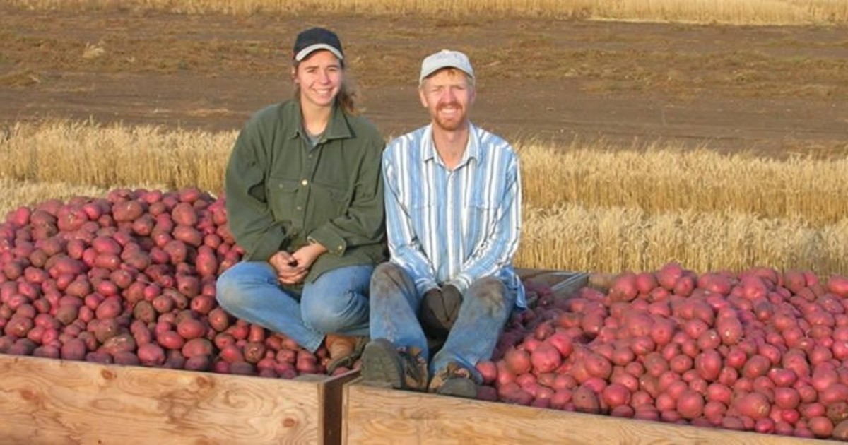 Enander Seed Farm Grenora, ND (701) 6942424